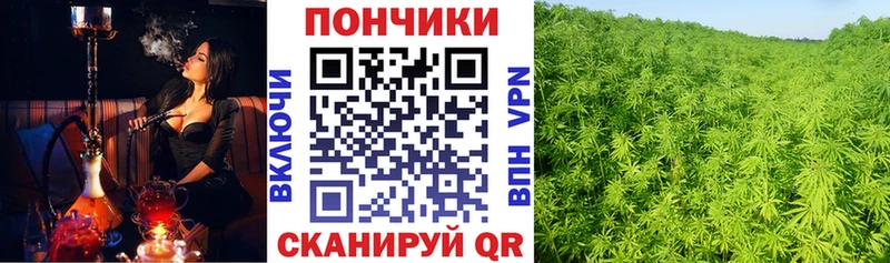 Наркошоп купить Галлюциногенные грибы  АМФ  ГАШИШ  Лсд 25  Alpha-PVP  Мефедрон  Нефтегорск