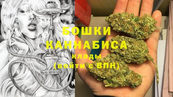 гидра Медвежьегорск