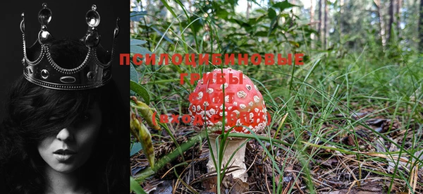 кокаин Михайловск
